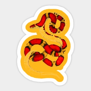 serpent,cobra,reptile,viper,venom,lizard,rattlesnake,king cobra Sticker